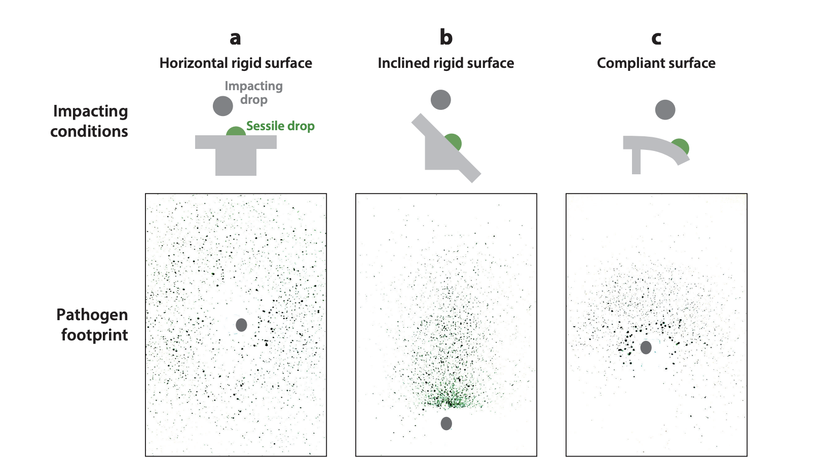 Pathogen Persistence on Surfaces